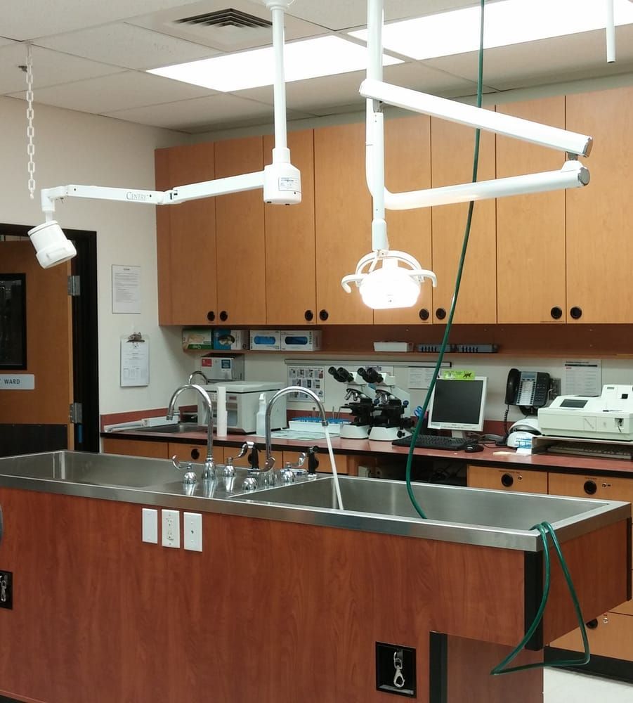 Modern hospital operating room with overhead surgical lights, stainless steel counters, and medical equipment