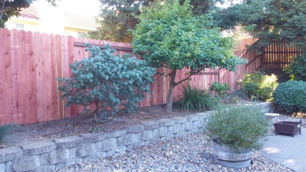 Backyard garden with a wooden fence, stone border, and potted shrubs along a paved patio
