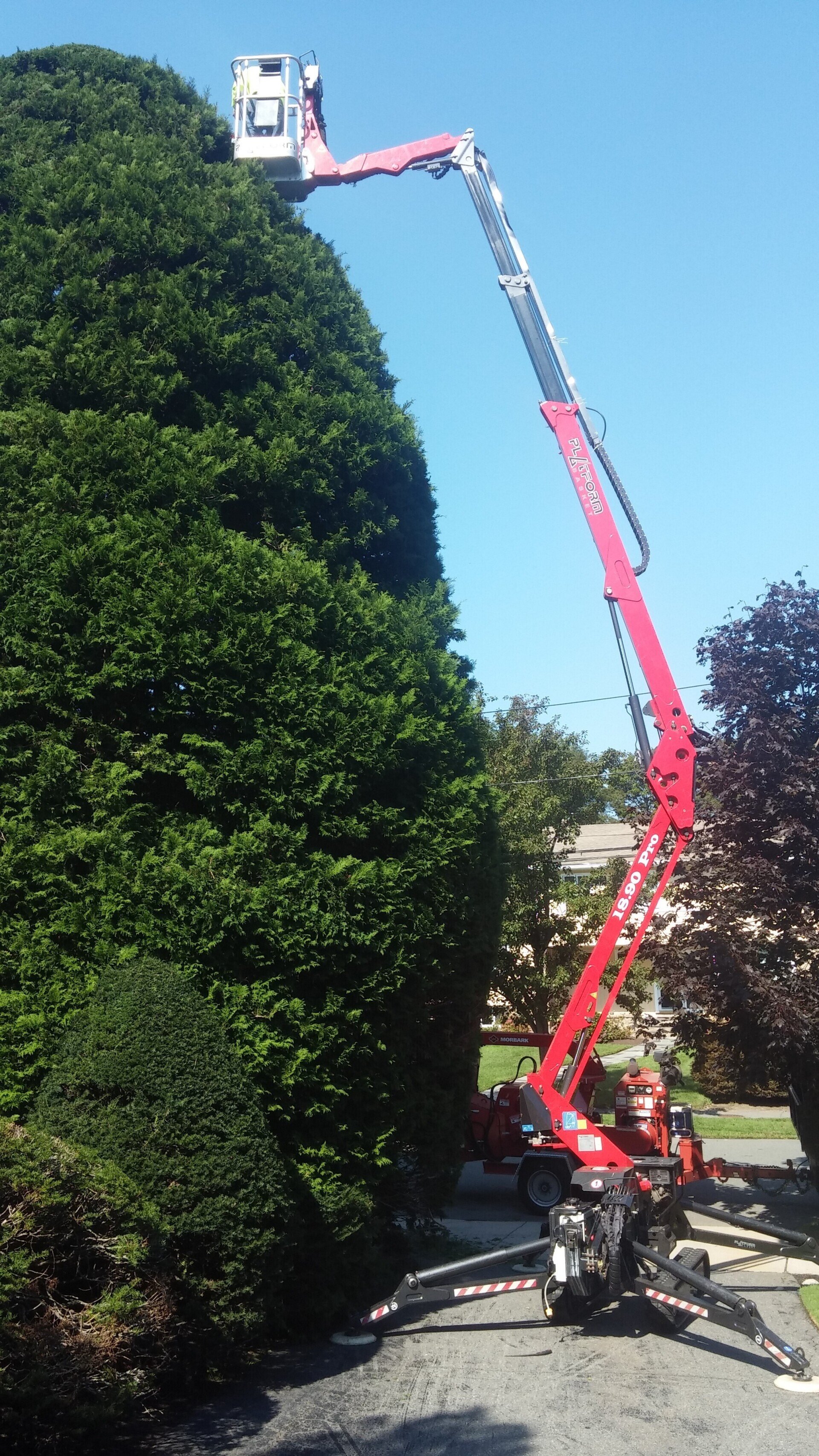 Landscape & Lawn Care Danvers, MA Carpenter Costin Tree