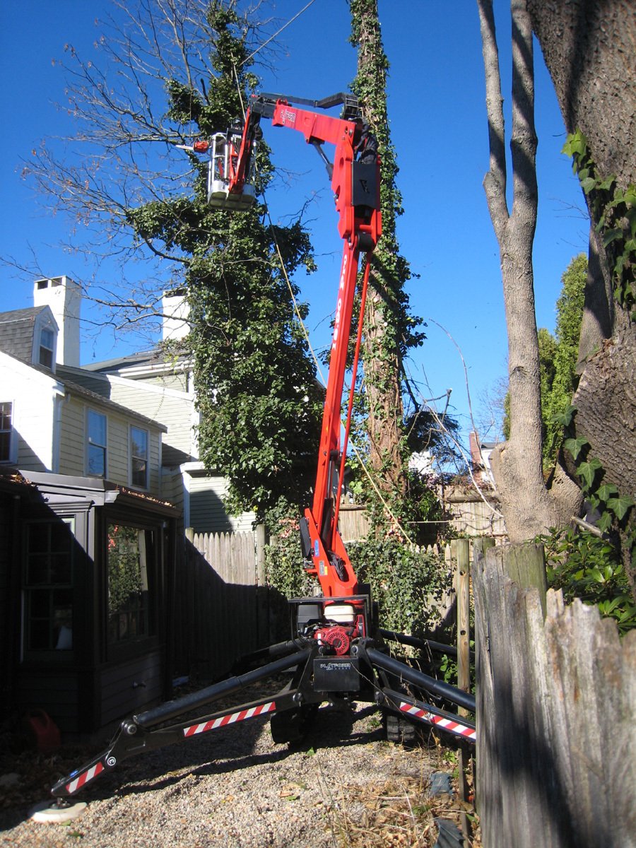 Landscape & Lawn Care Danvers, MA Carpenter Costin Tree