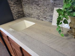 A kitchen counter with a sink and a plant on it.