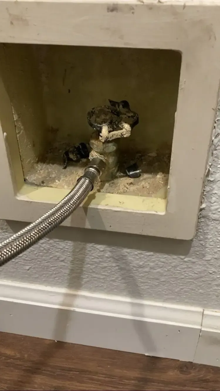 White laundry box with water valve, connected hose, and grime inside.