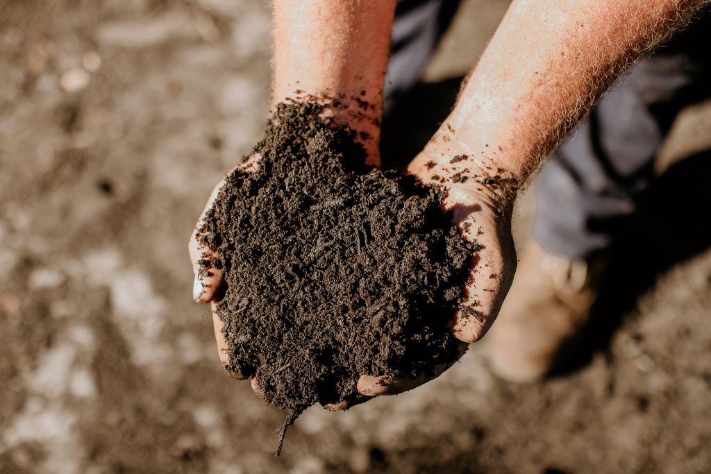 A Person is Holding a Pile of Dirt in Their Hands — Bonville Landscape Centre in Bonville, NSW