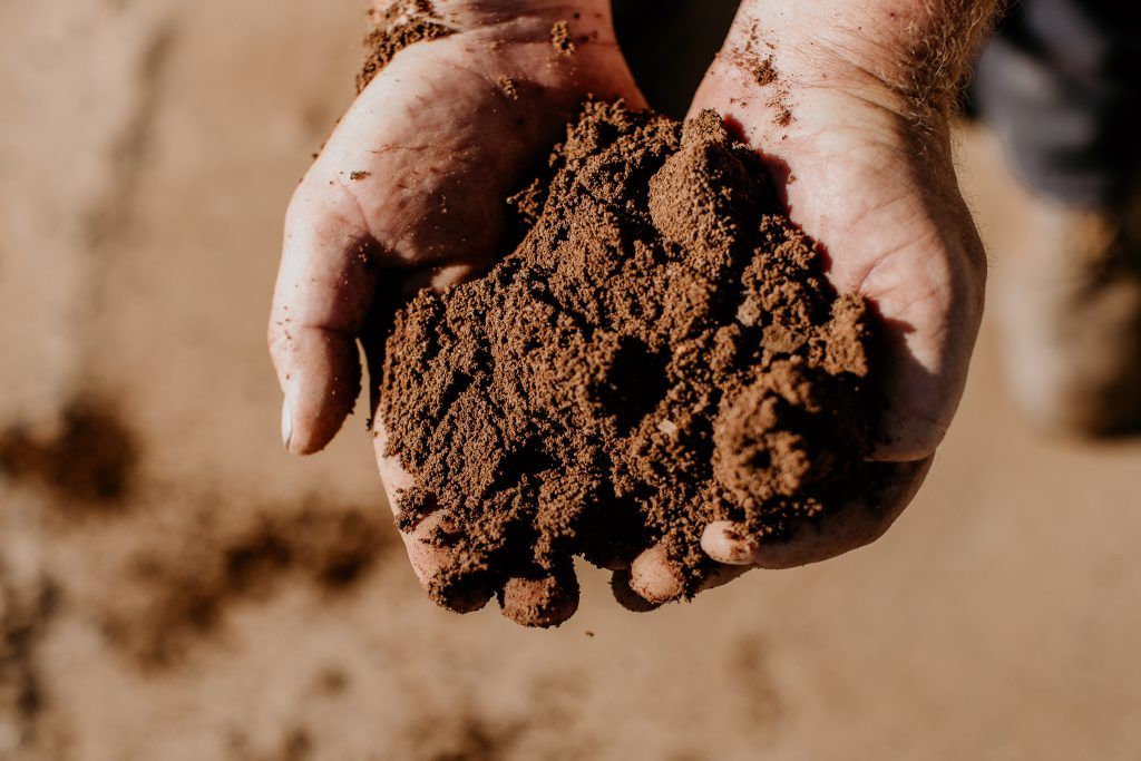 Hands Holding Screened Soil — Bonville Landscape Centre in Repton, NSW