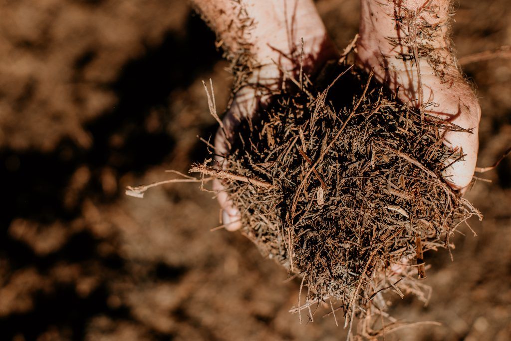 A Person is Holding a Pile of Dirt in Their Hands — Bonville Landscape Centre in Urunga, NSW