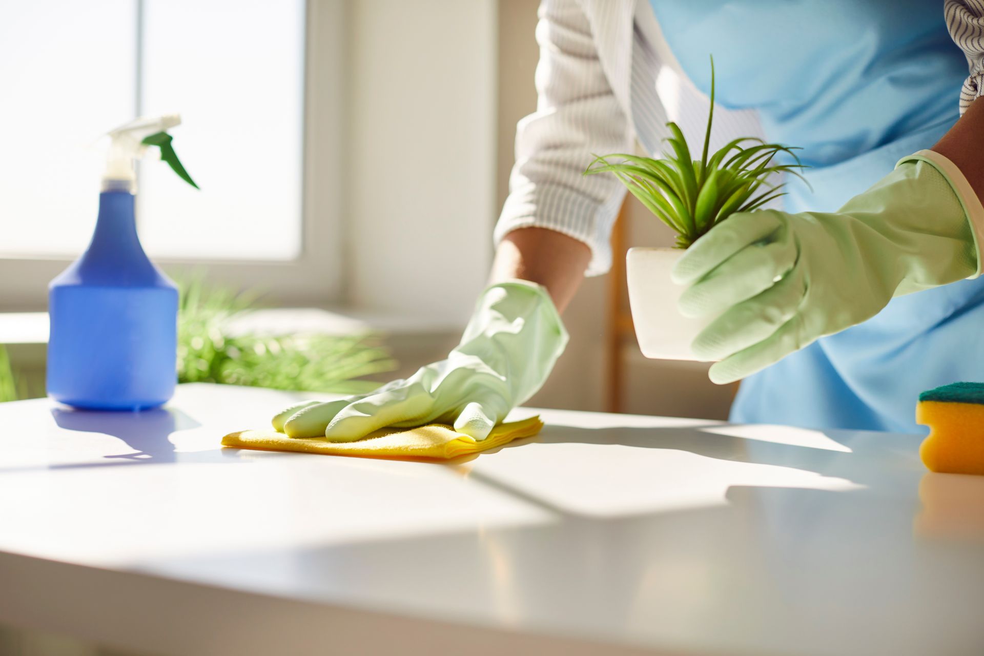 Person wearing gloves cleaning a white surface with a yellow cloth, holding a potted plant. A blue spray bottle is nearby.