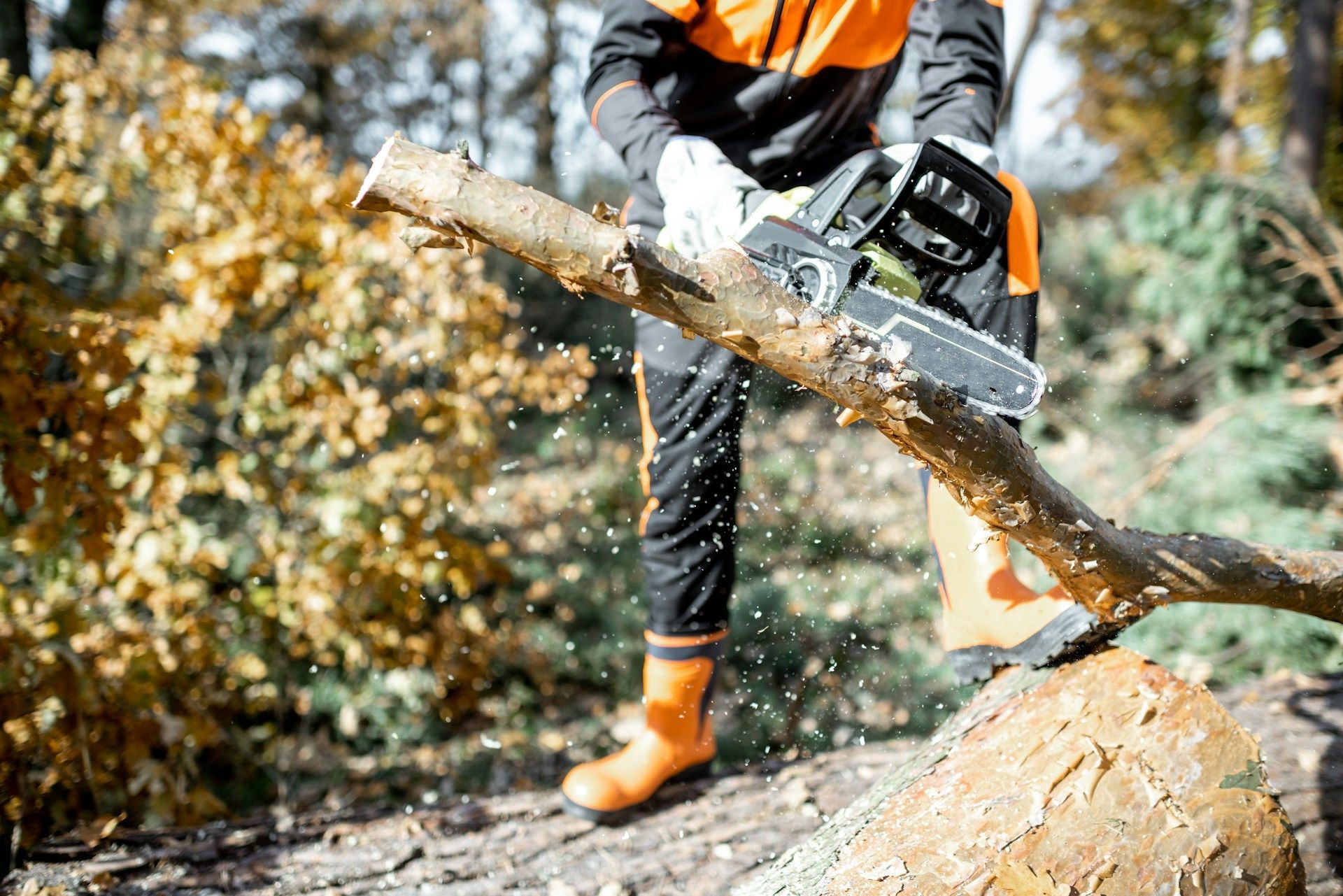 Arborist