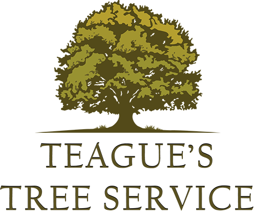Teague's Tree Service logo