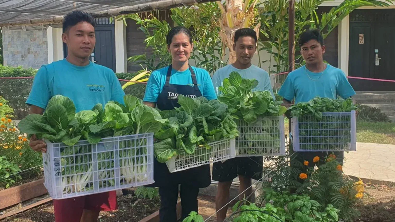 Four people holding baskets of leafy greens in a garden