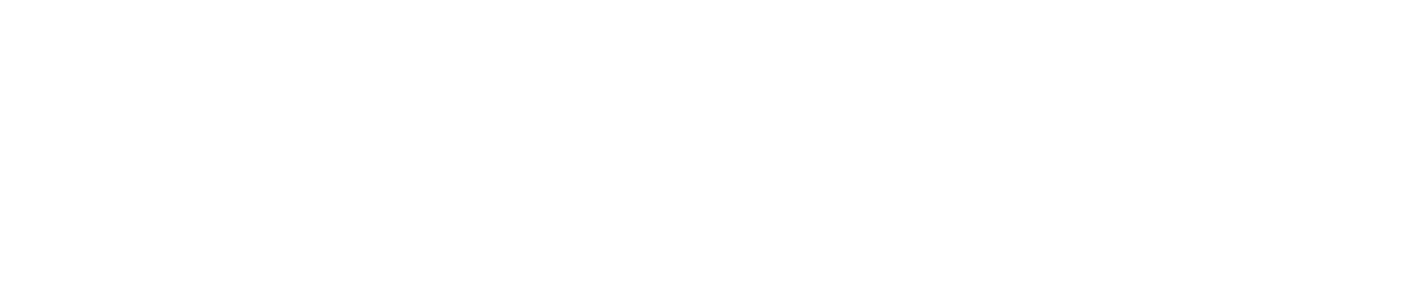 Thin black horizontal line centered on a white background