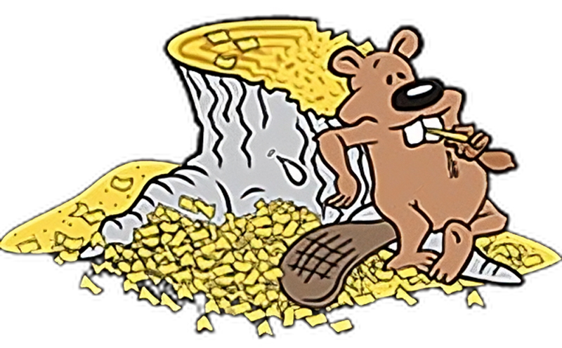 Eager Beaver Stump Grinding