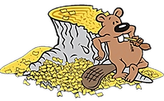Eager Beaver Stump Grinding