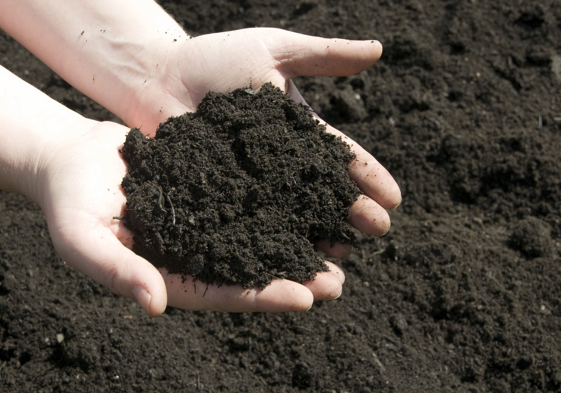 topsoils