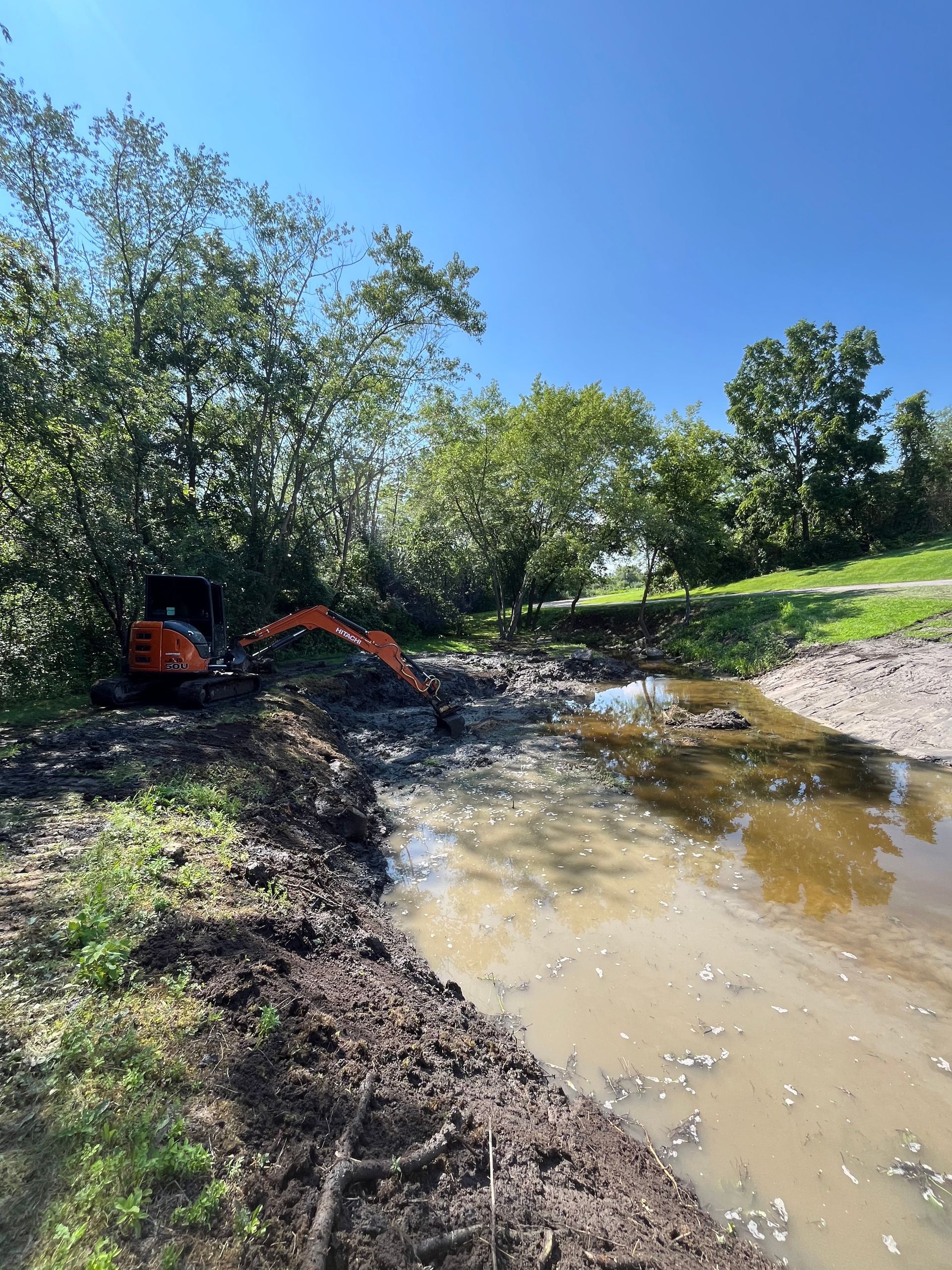 An orange excavator clears mud from a pond, surrounded by trees and green grass on a sunny day.