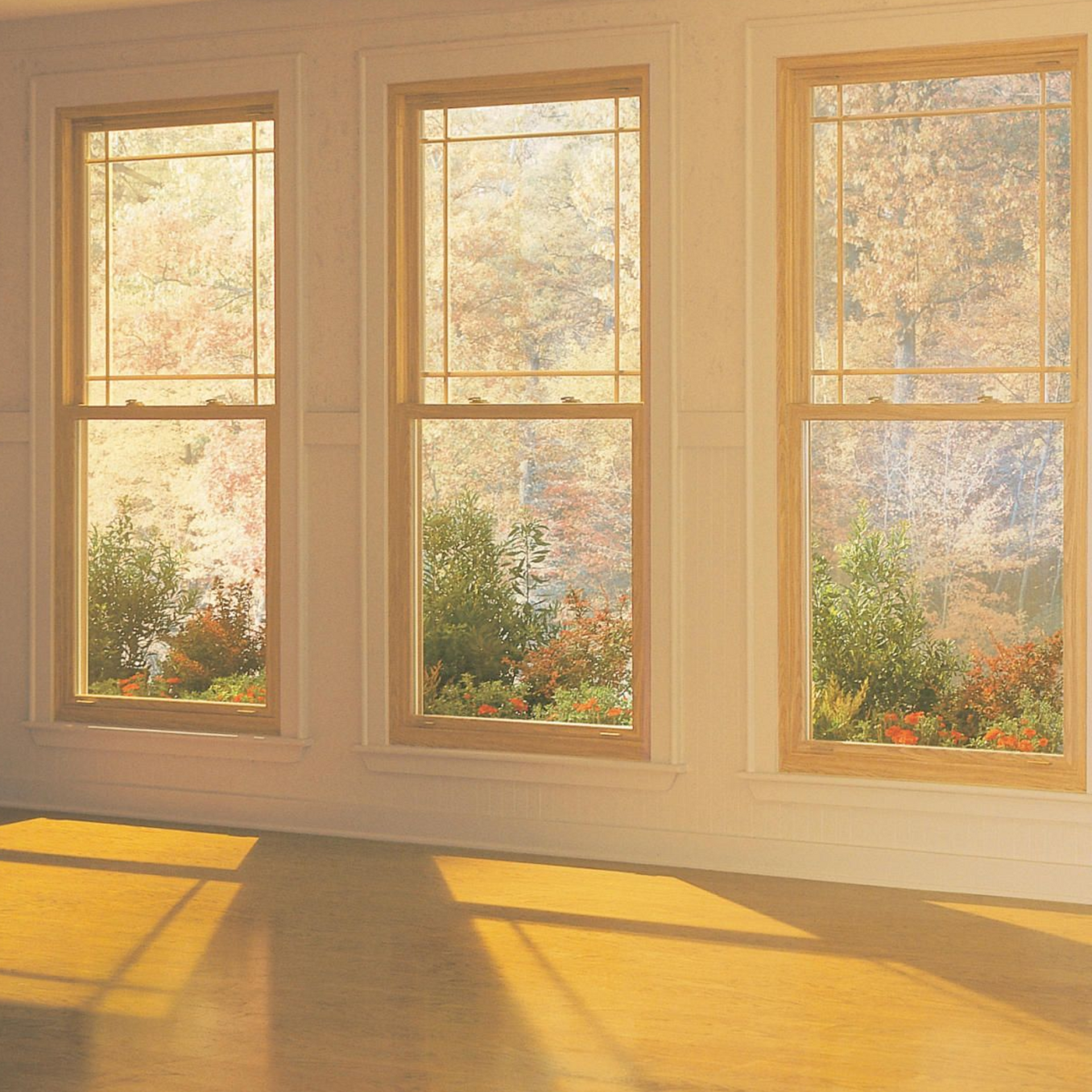 A room with a lot of windows and the sun shining through them