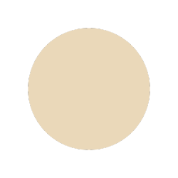 A white circle on a white background.