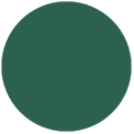 A green circle on a white background.