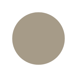 A white circle with a gray border is on a white background.