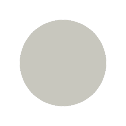 A white circle on a white background.