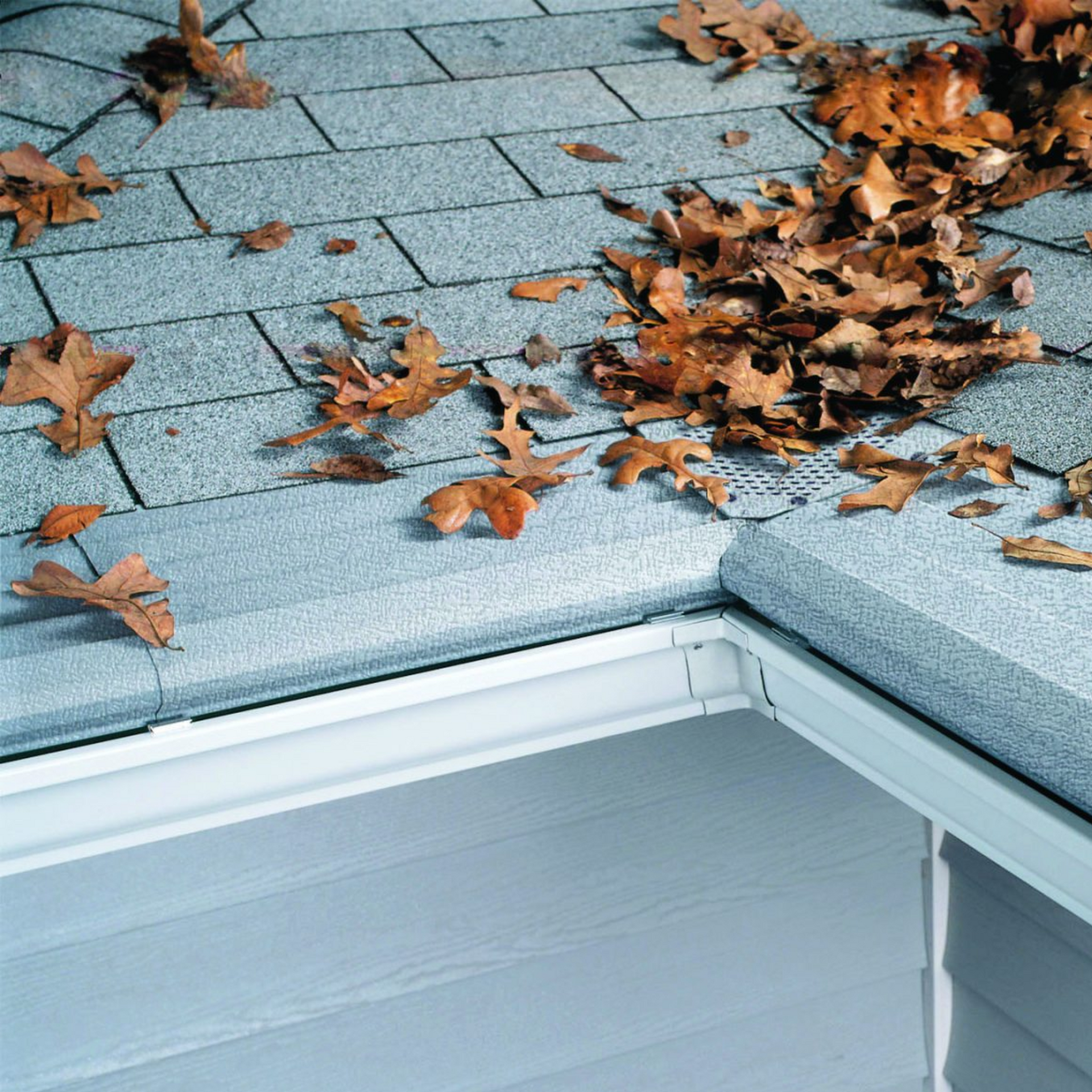 A bunch of leaves are laying on a roof