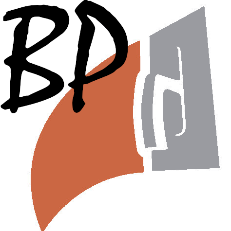 brandon plastering logo