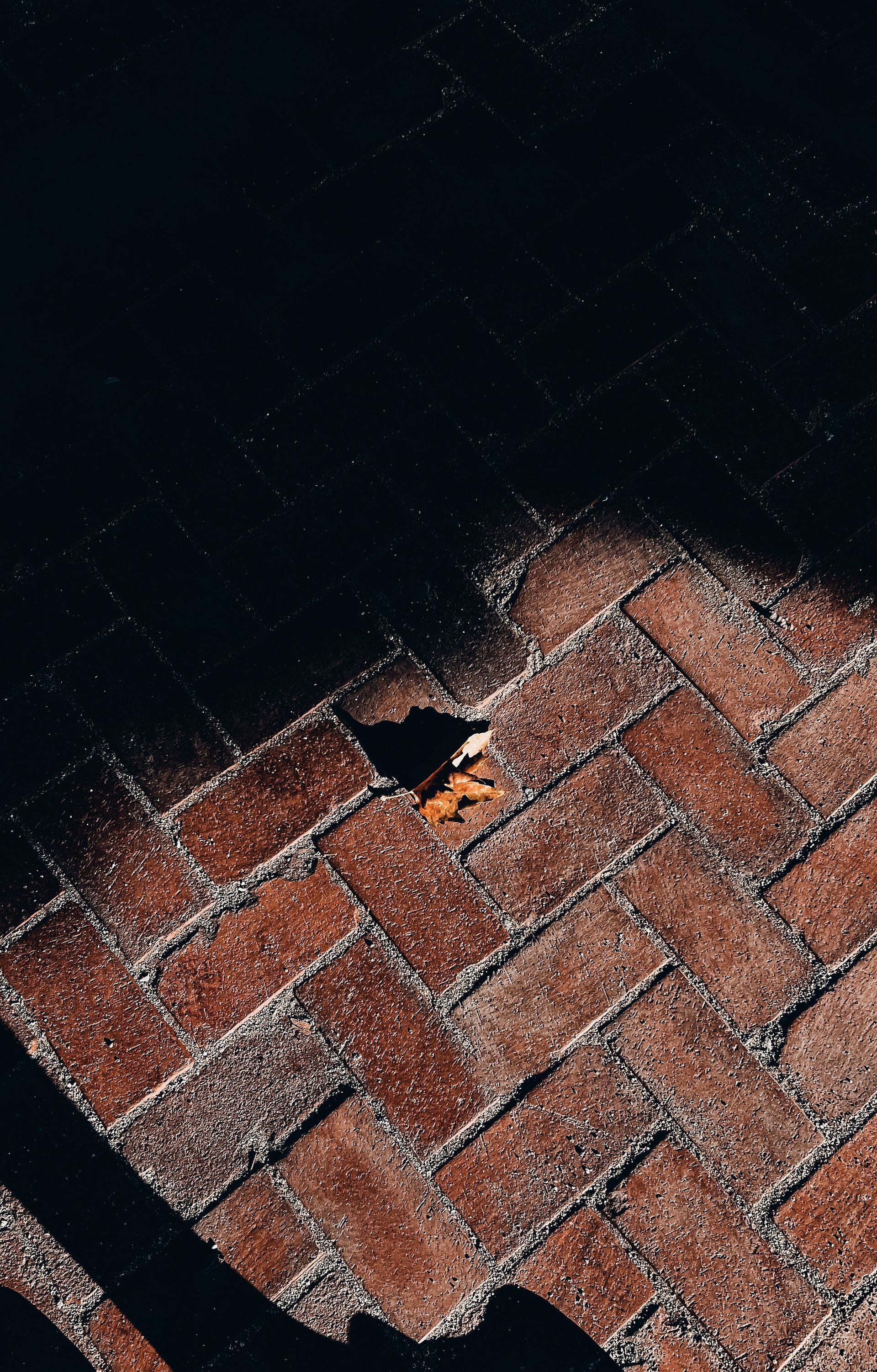Brick-paved surface beside dark water, with a small hole or broken section near the edge