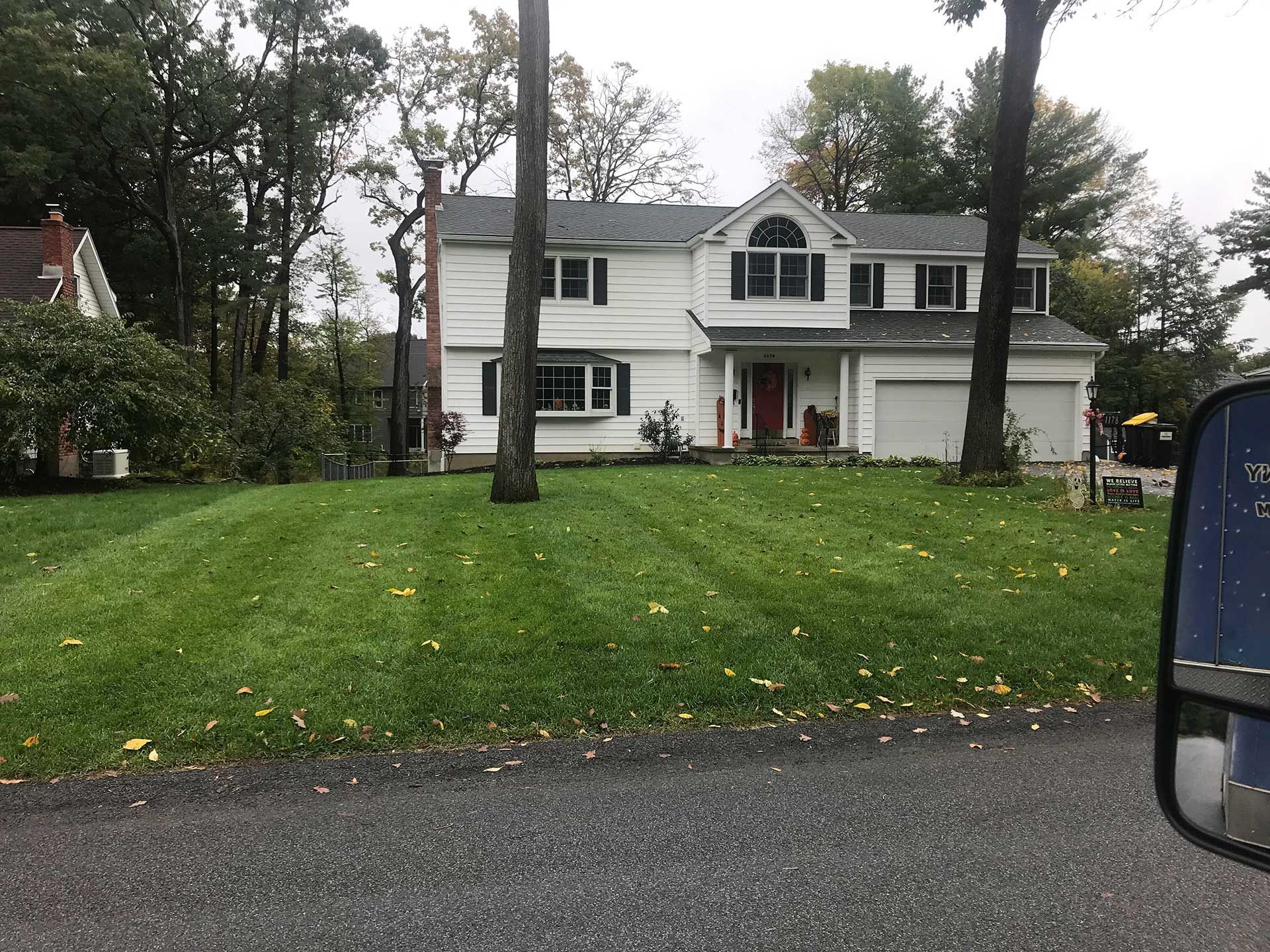lawn services
