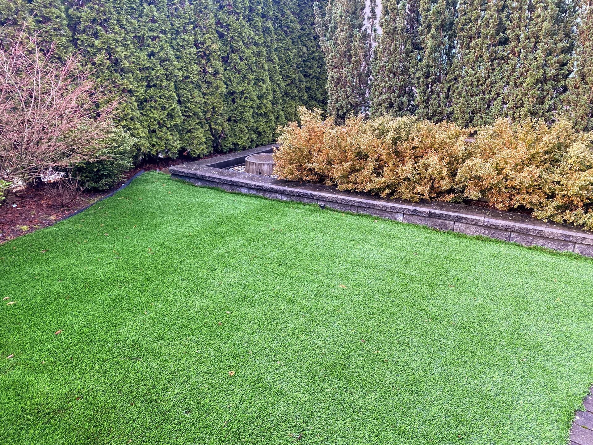 Red budding tree on manicured green