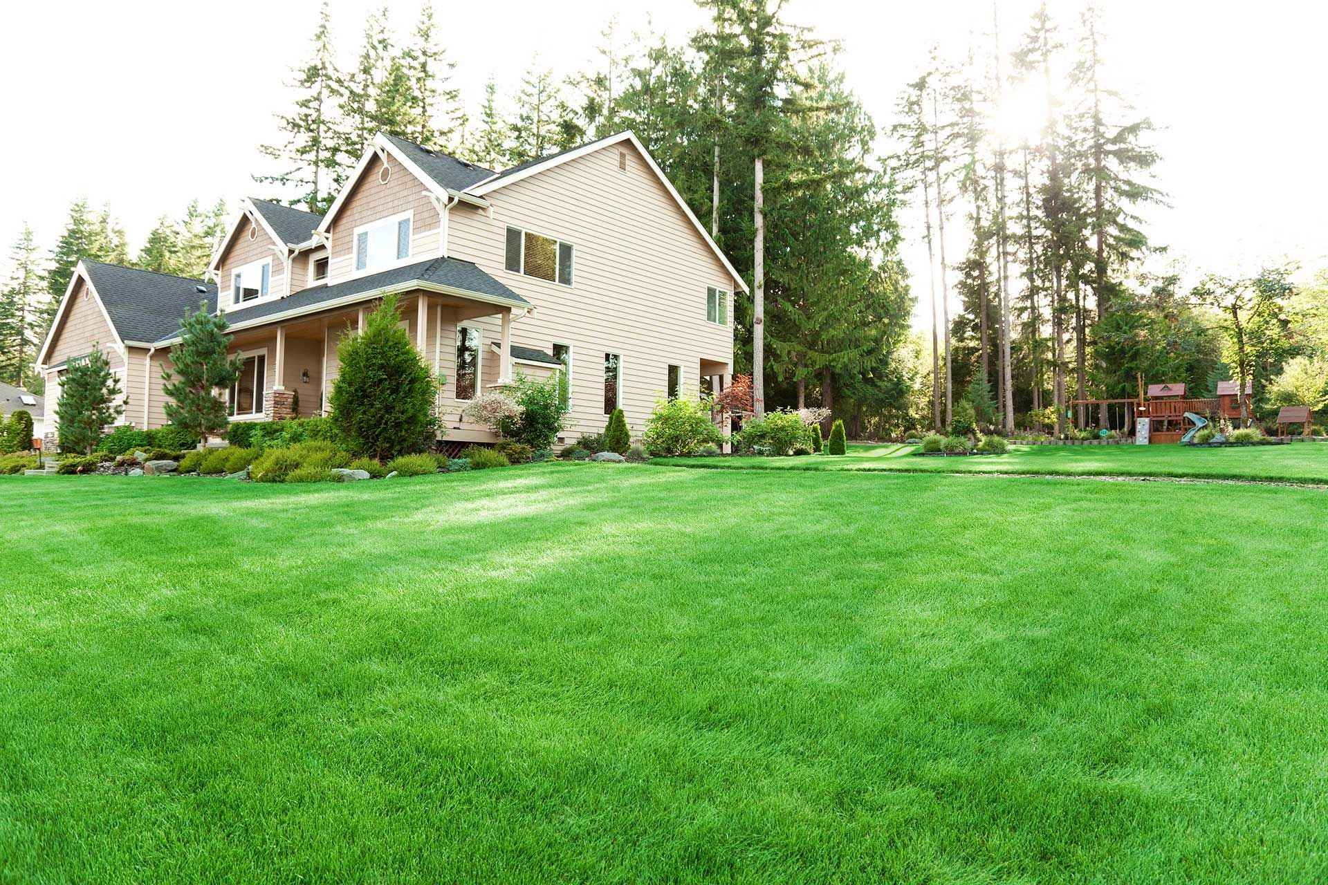 house with lawn and garden