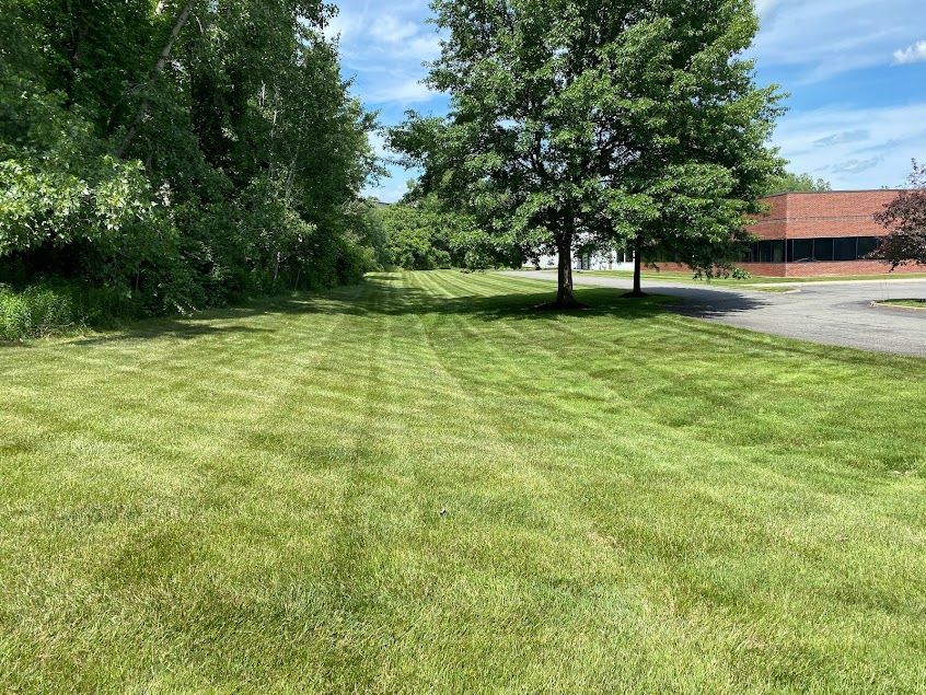 Lawn Care: Professional lawn care services for healthy green lawns in Upstate New York