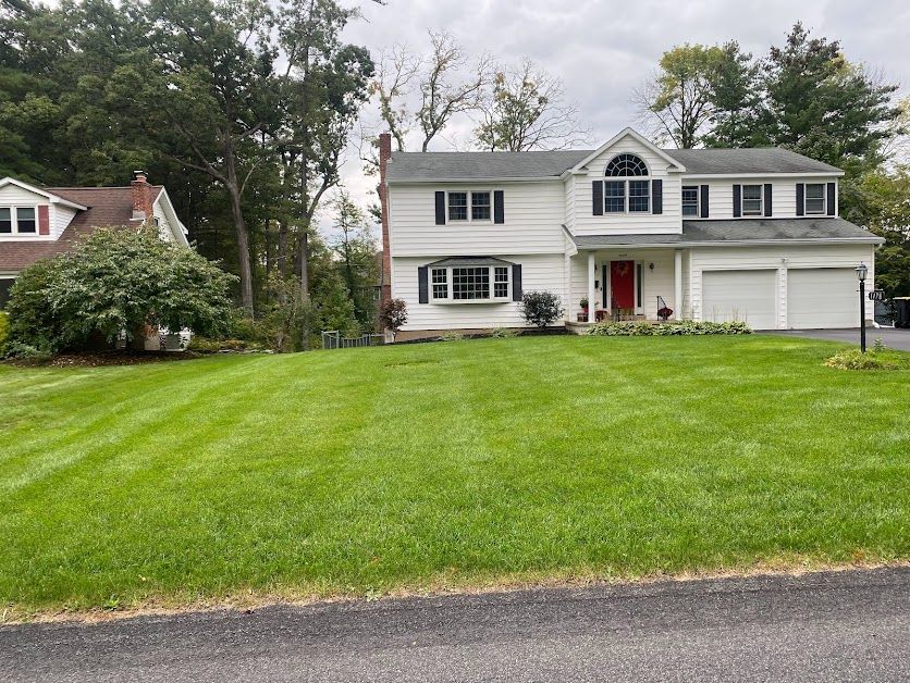Weed Control: Eco-friendly weed control treatment for residential lawns in Upstate New York