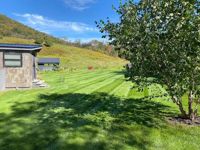 Tick Control: Natural tick control treatment for lawns and landscapes in Upstate New York