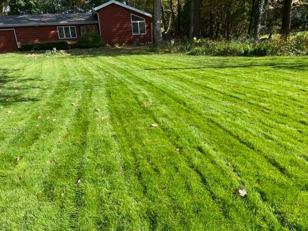 Mosquito Control: Natural mosquito control services for residential properties in Upstate New York