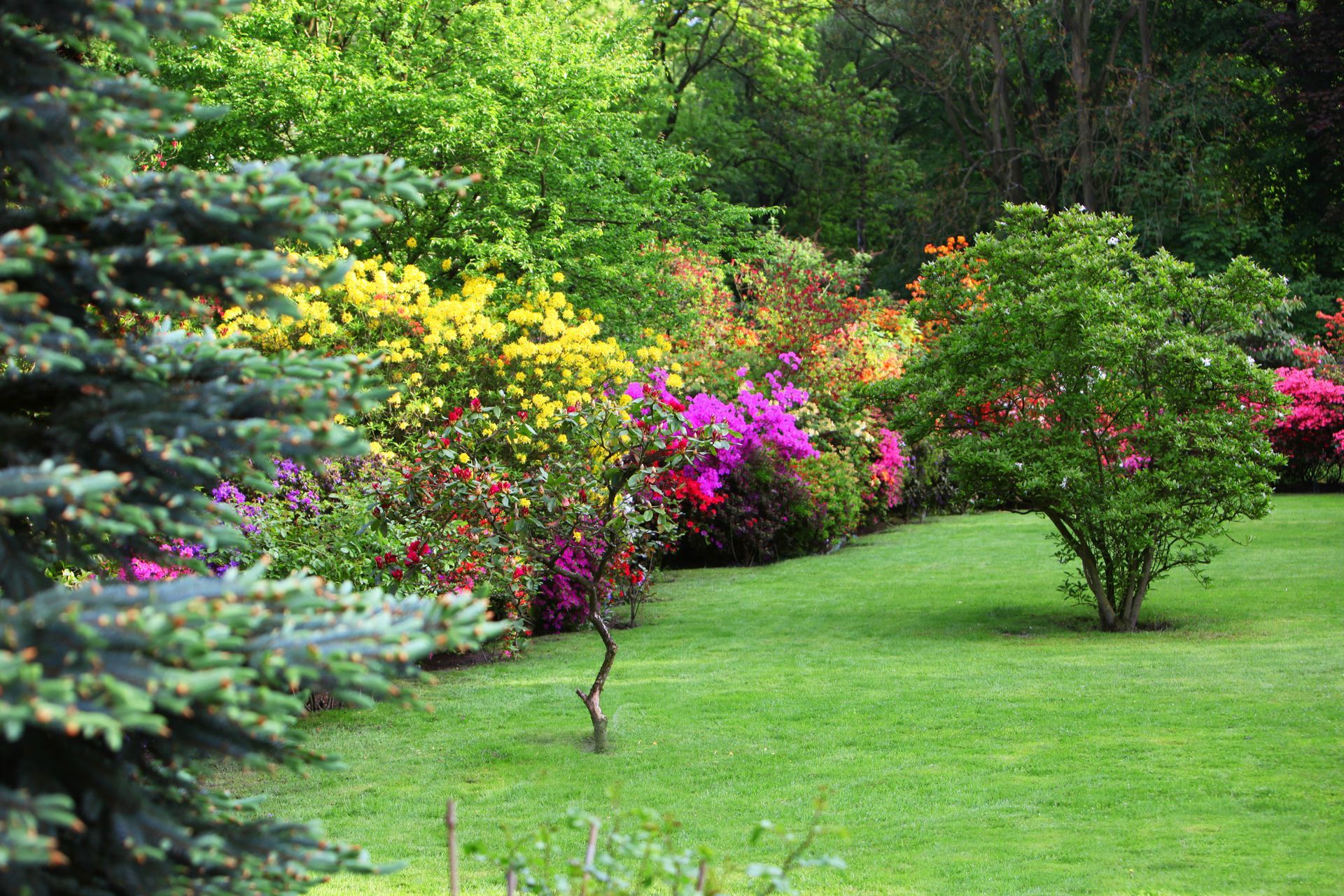 manicured lawn bordered by a vibrant garden