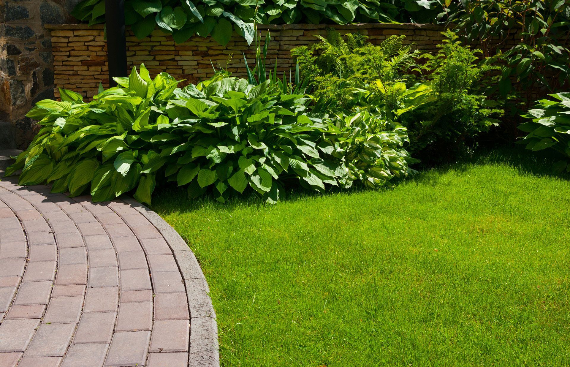 Eco-Friendly Lawn Care Services