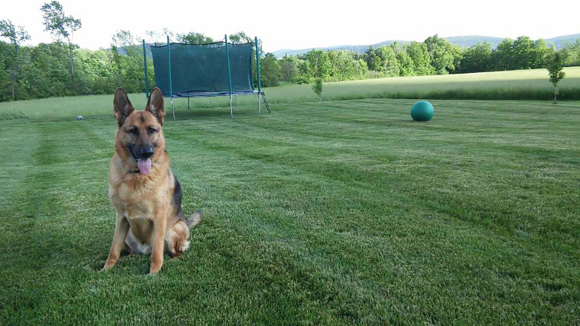 Eco-Friendly Lawn Care Services