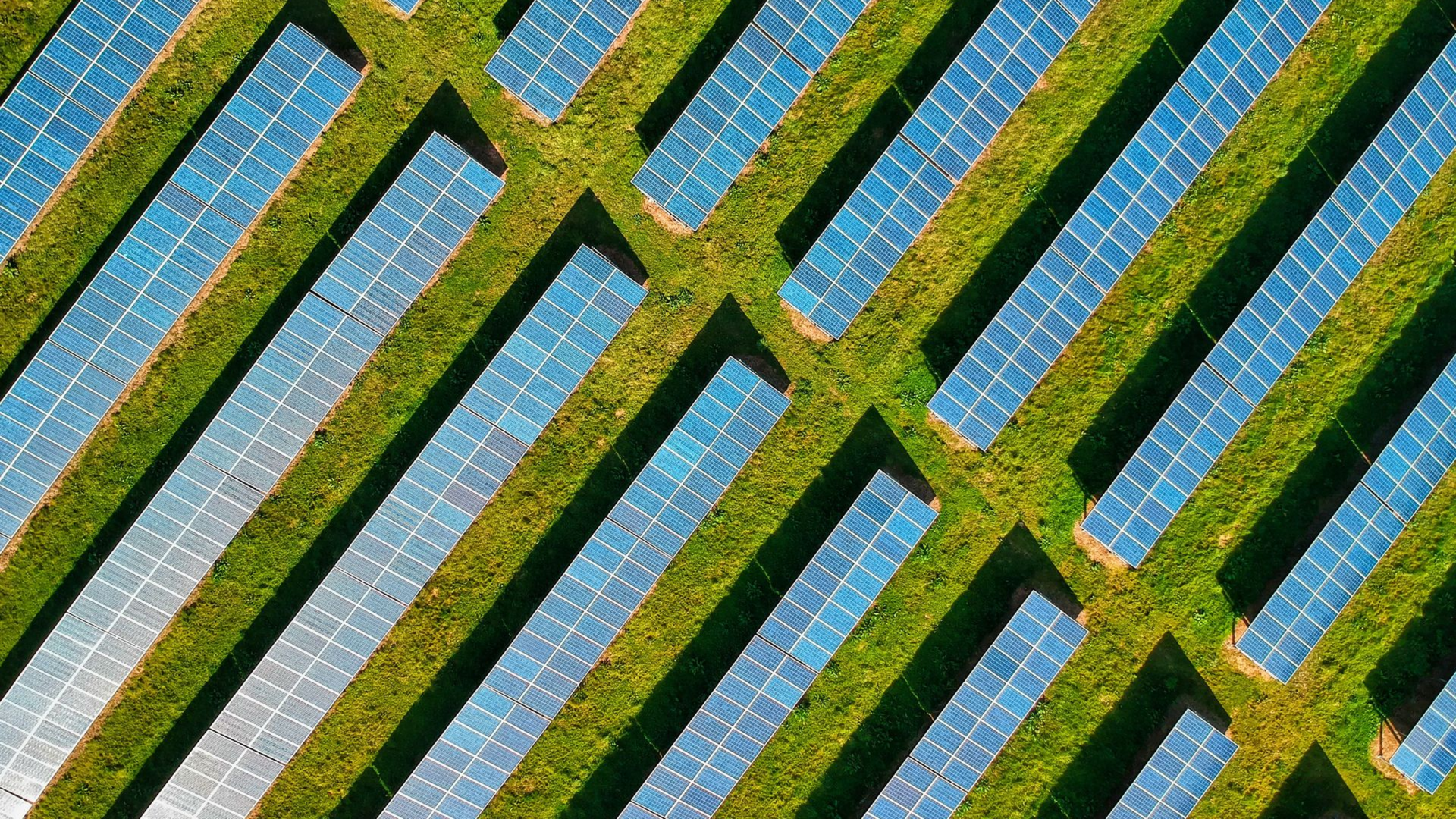PV Assets Off-Market: Die profitabelsten PV- u. Speicherprojekte in Deutschland gehen unter der Hand