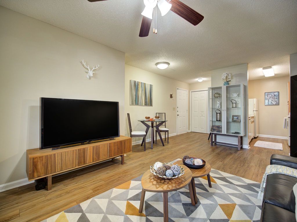 Modern living room with TV, coffee tables, patterned rug, hardwood floors, and ceiling fan at Grande Oasis at Carrollwood in Tampa, Florida.
