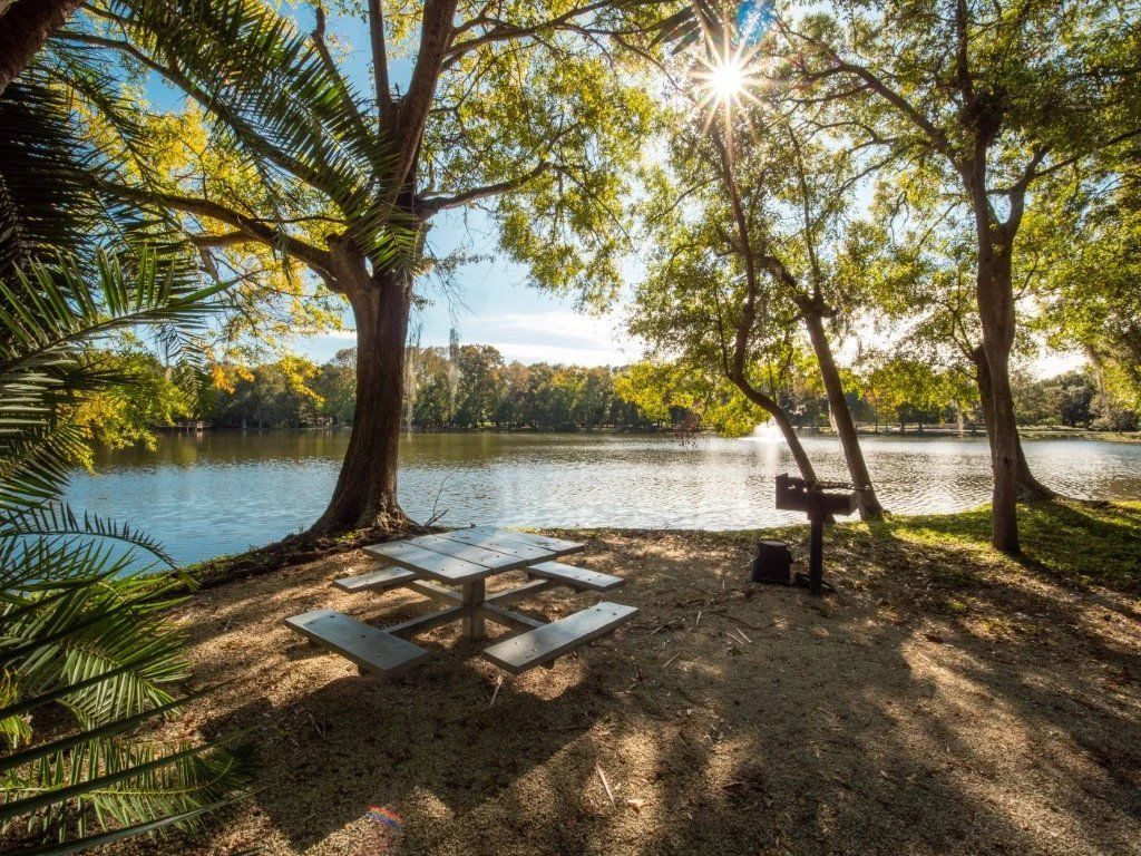 Shaded lakeside picnic area with benches under trees, sunlight sparkling on the water at Grande Oasis at Carrollwood in Tampa, Florida.