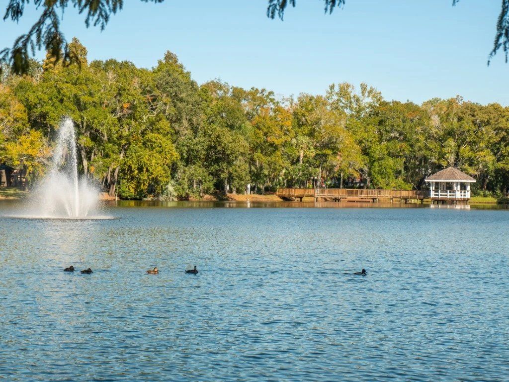 Lake with ducks, fountain spray, and a tree-lined shore with a small gazebo under a blue sky at Grande Oasis at Carrollwood in Tampa, Florida.