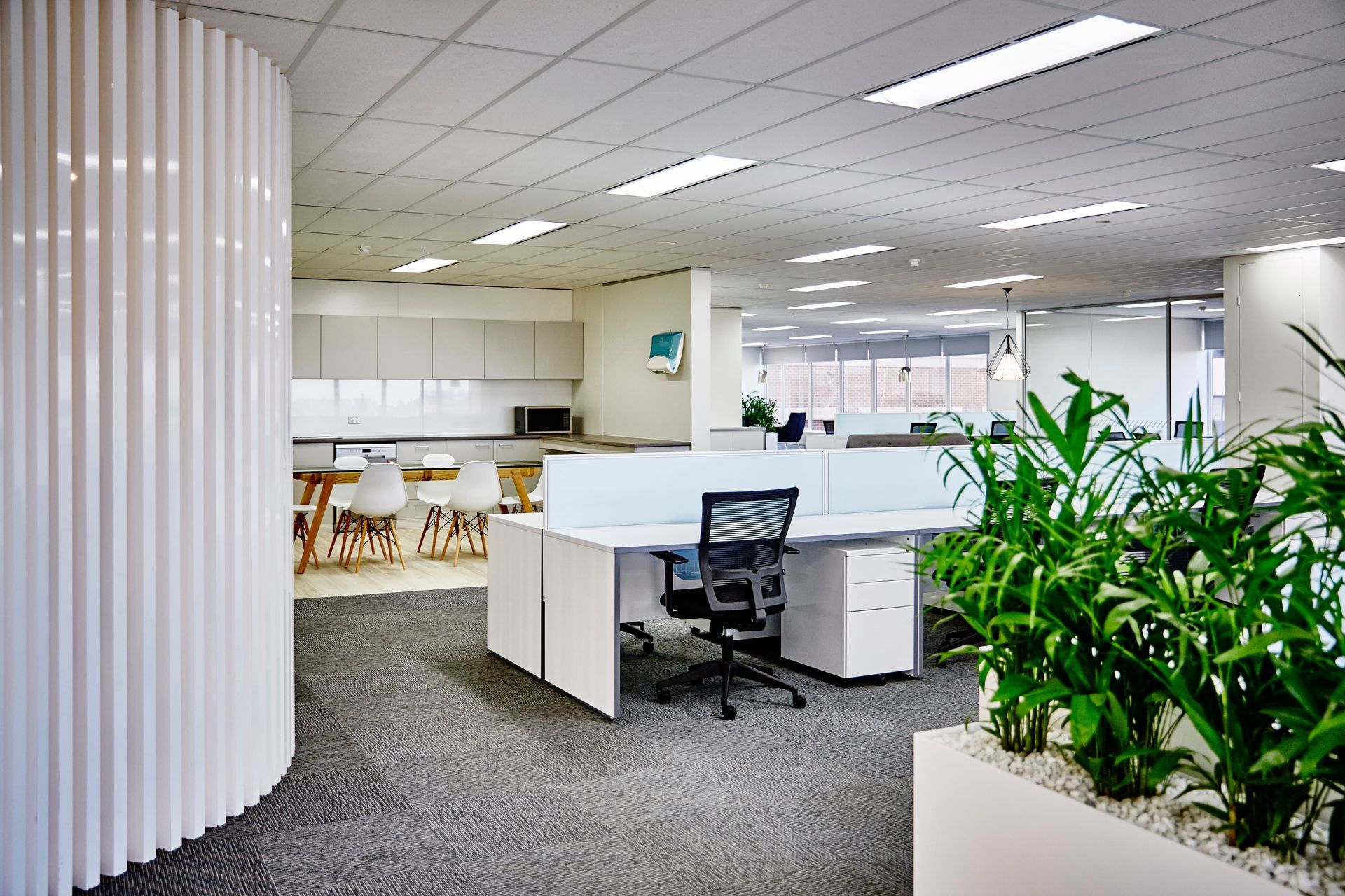 A large office with a lot of desks and plants.