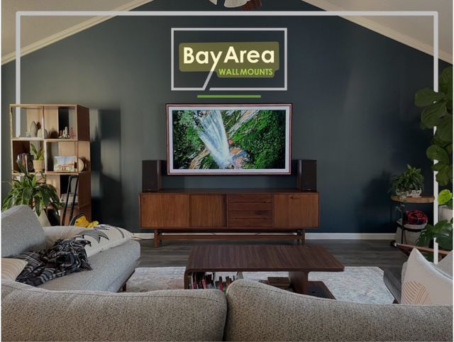TV Mounting Business in Bay Area