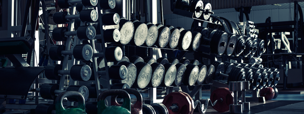 A row of dumbbells are lined up in a gym.