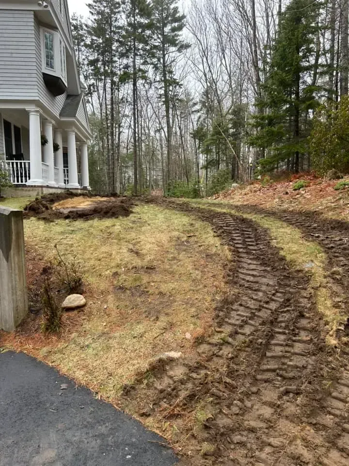 A dirt road leading to a house in the woods.