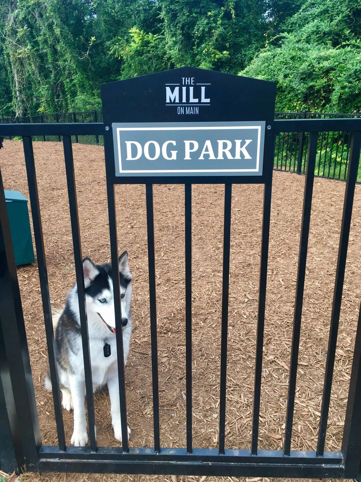 A fenced dog park with a sign and a Siberian Husky sitting by the gate.