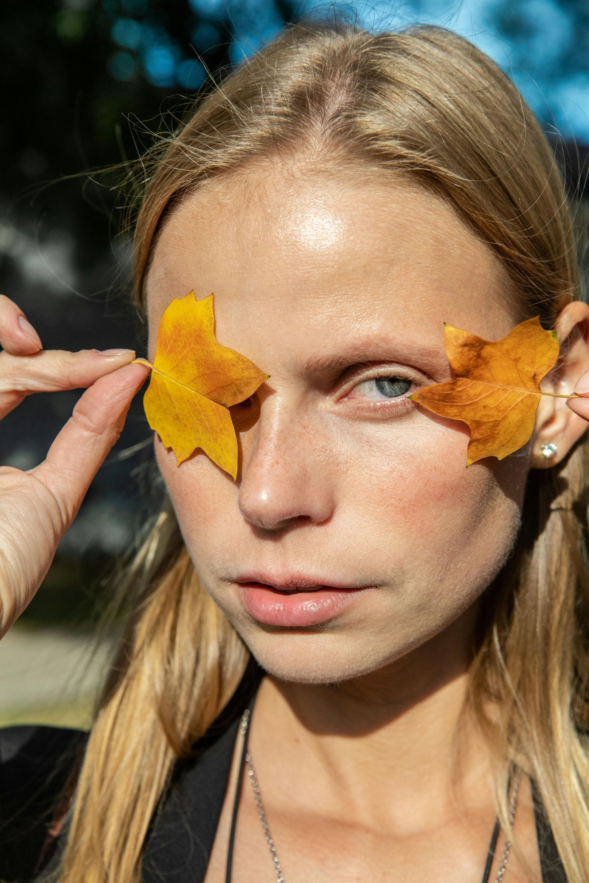 Fall