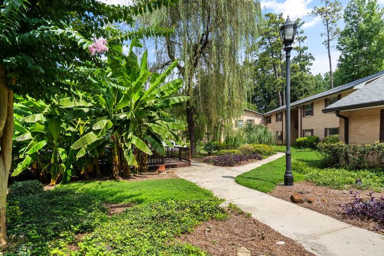 Sunny garden path beside apartment buildings with lush green plants and a black lamppost
