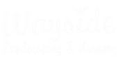A white background with a few lines on it