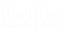 A white background with a few lines on it