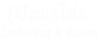 A white background with a few lines on it